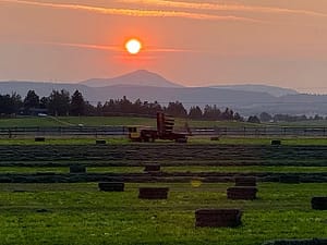 IMG_9202 (2)-min